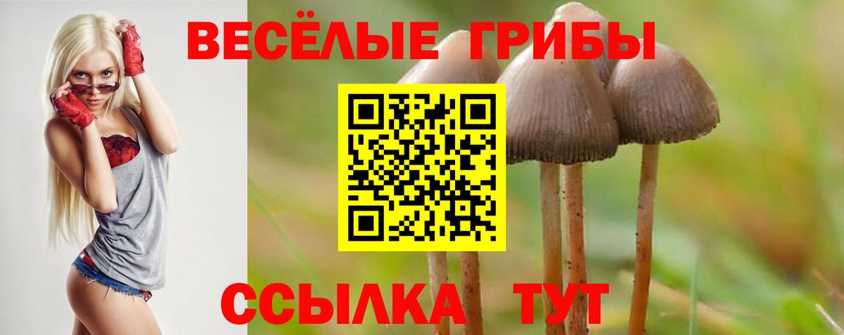 Псилоцибиновые грибы MAGIC MUSHROOMS Воронеж